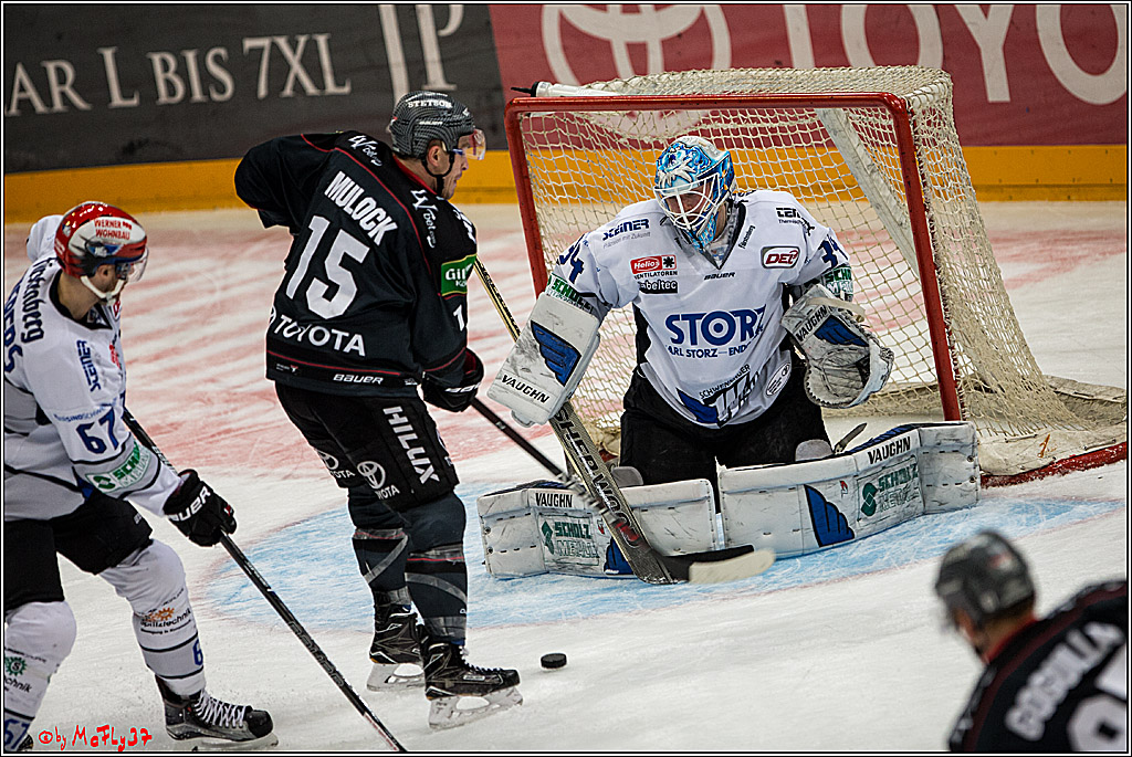 Koelner Haie - Schwenninger Wild Wings, 11.12.2016